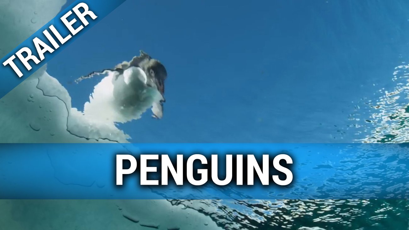 Penguins - Trailer Englisch