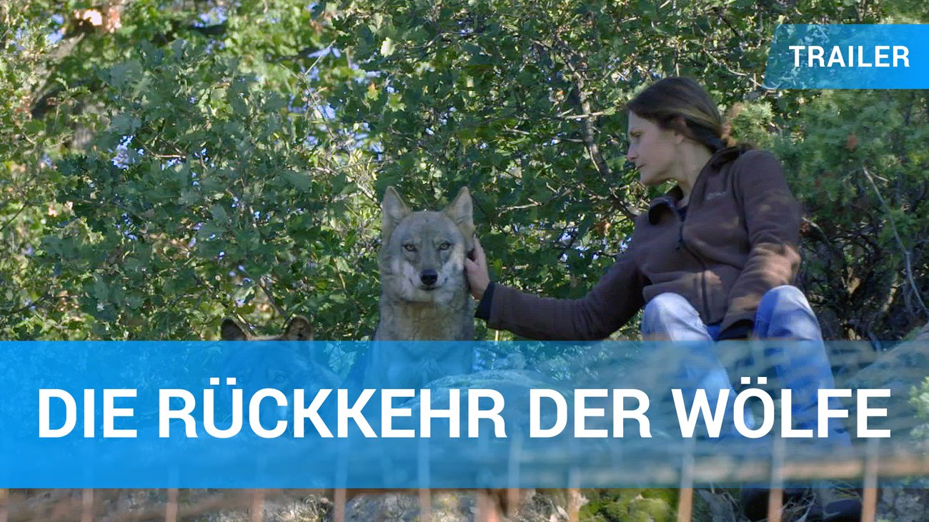 Die Rückkehr der Wölfe - Trailer Deutsch
