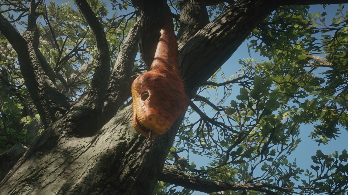 Red Dead Redemption 2: Riesige Schlange im Sumpf entdeckt