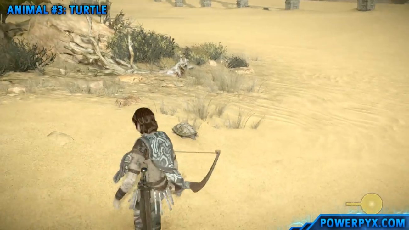 Shadow of the Colossus: So findet ihr alle Tiere