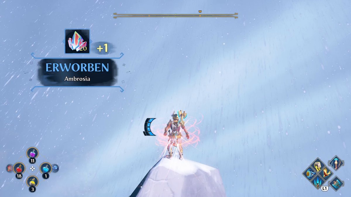 Ambrosia #12 im Gebiet Königsgipfel Ambrosia #12 im Gebiet Königsgipfel