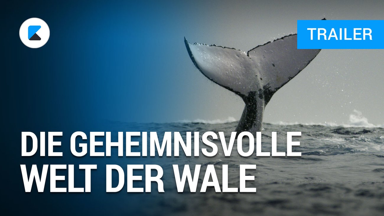 Die geheimnisvolle Welt der Wale - Trailer Deutsch