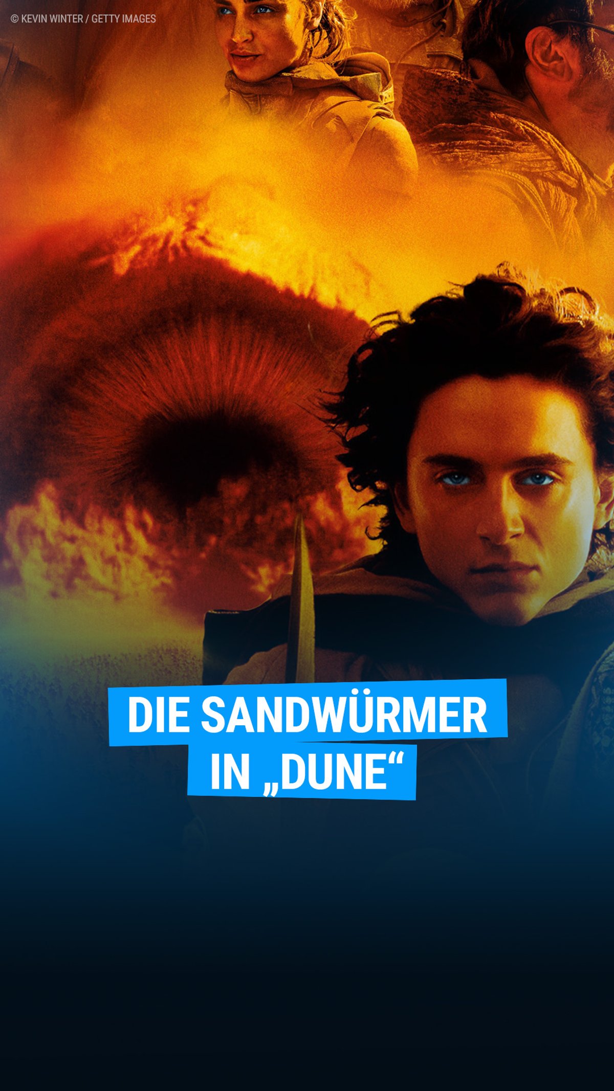 Dune: 5 Fakten über die Sandwürmer