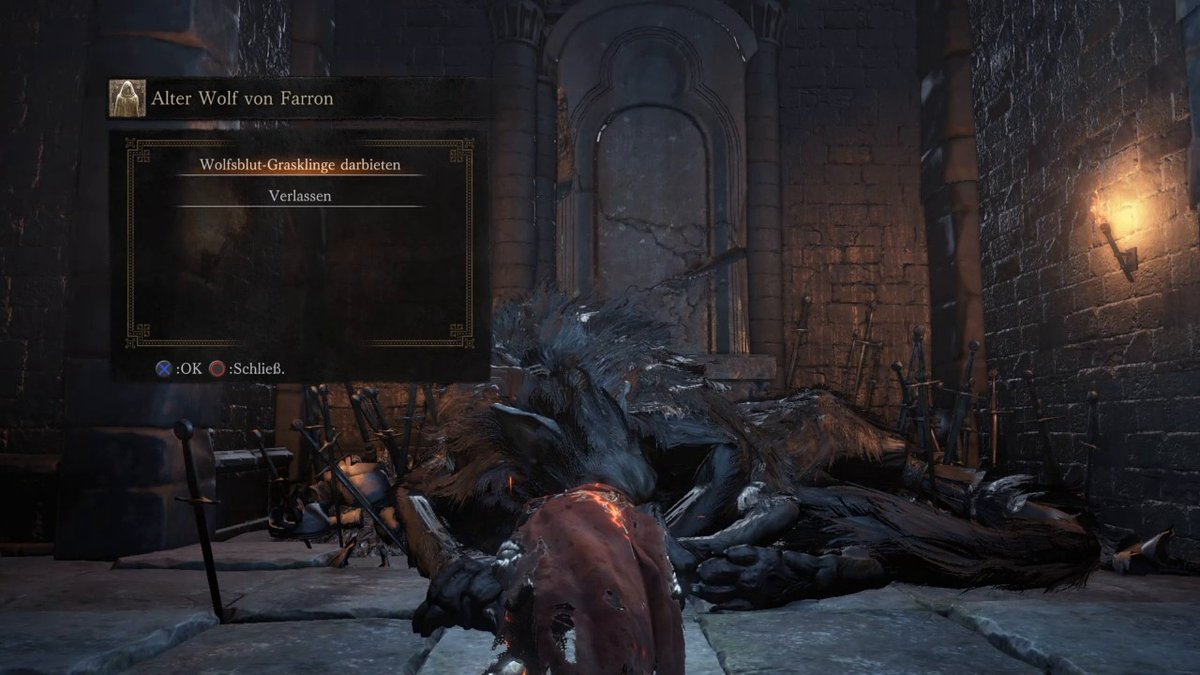 Dark Souls 3: Eid "Farrons Wachhunde" - Fundort