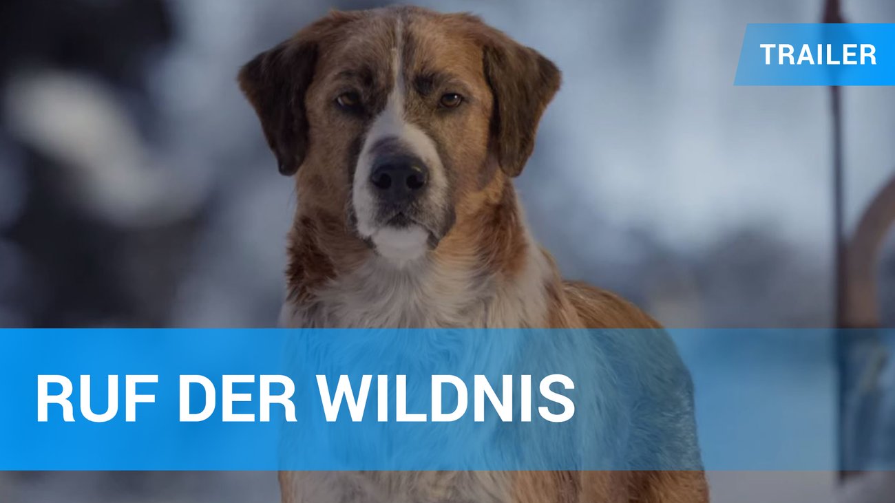 Ruf der Wildnis - Trailer Deutsch