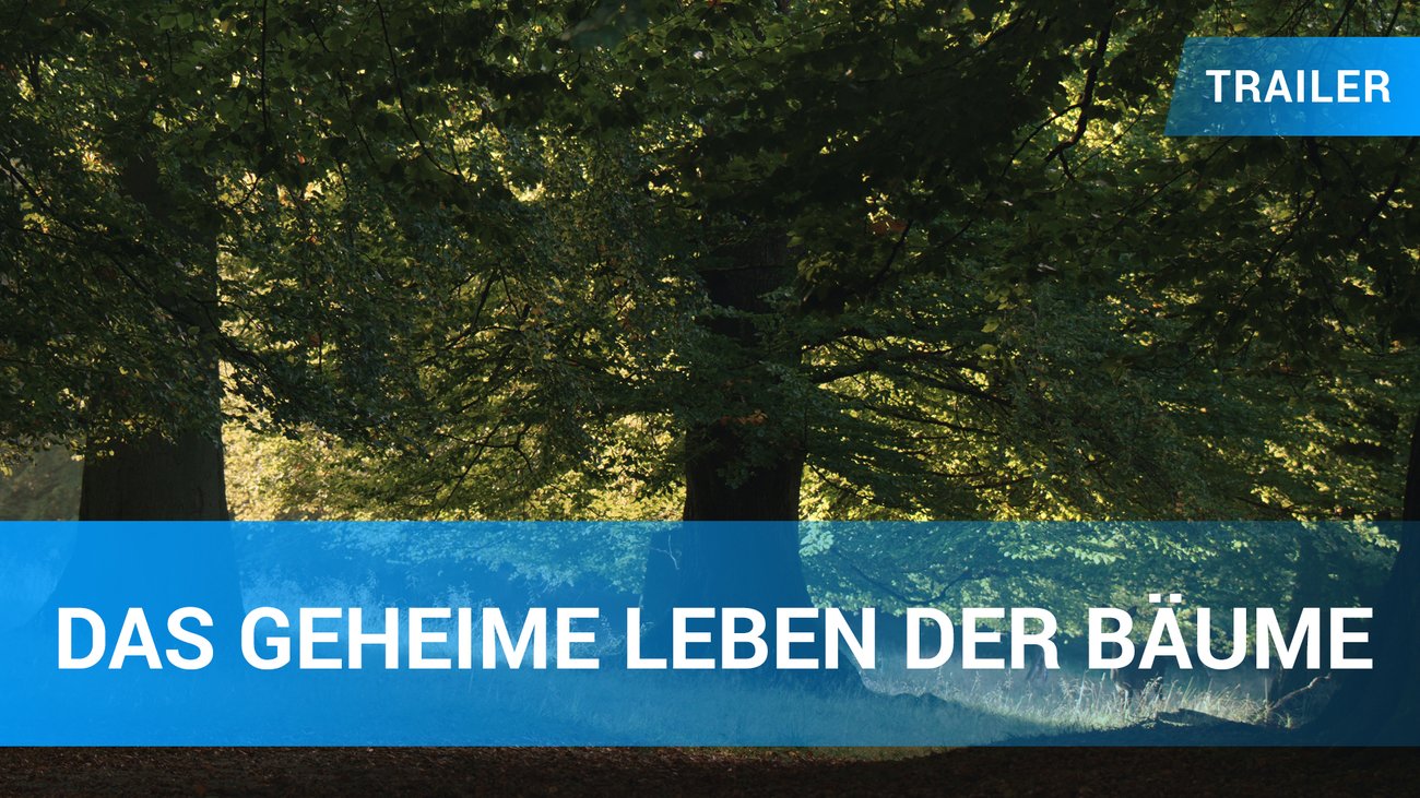 Das geheime Leben der Bäume - Trailer Deutsch