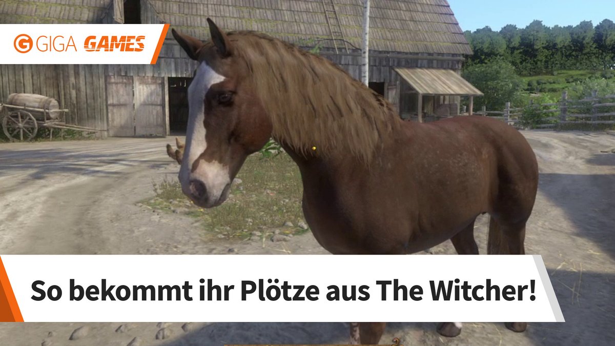Kingdom Come Deliverance: So findet ihr Plötze aus der Witcher-Reihe Kingdom Come Deliverance: So findet ihr Plötze aus der Witcher-Reihe