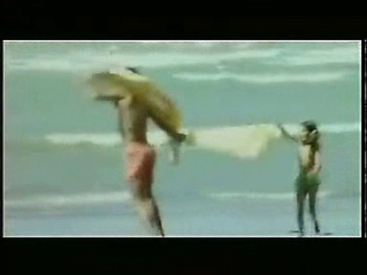 08957308.flv 08957308.flv