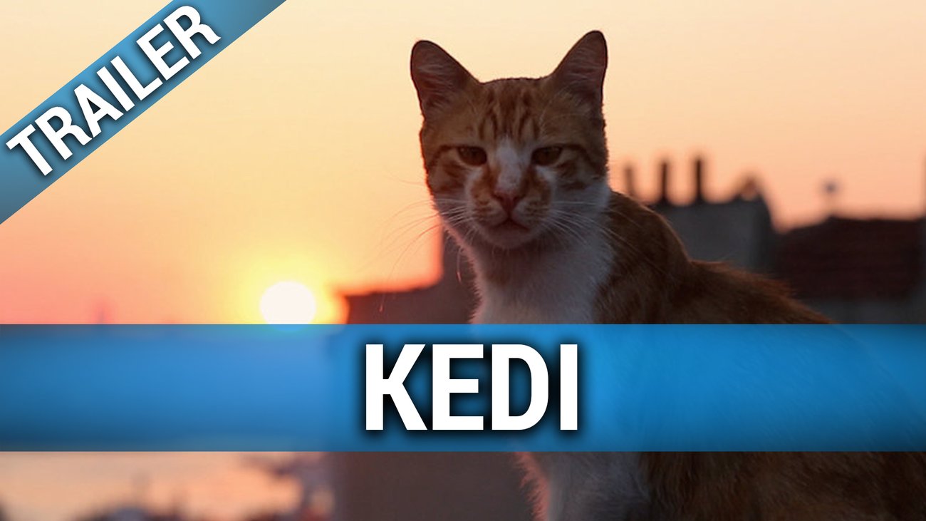 Kedi - Englischer Trailer