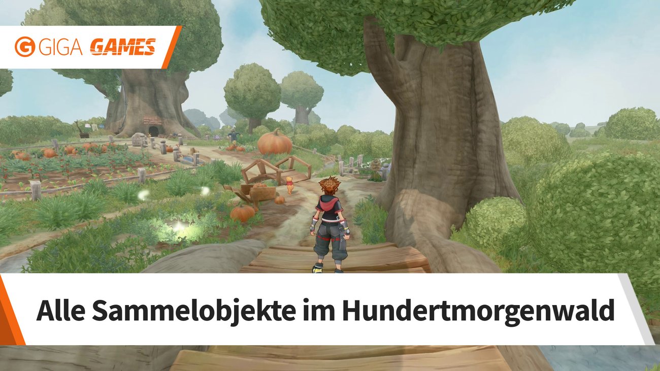 Kingdom Hearts 3: Fundorte der Sammelobjekte im Hundertmorgenwald