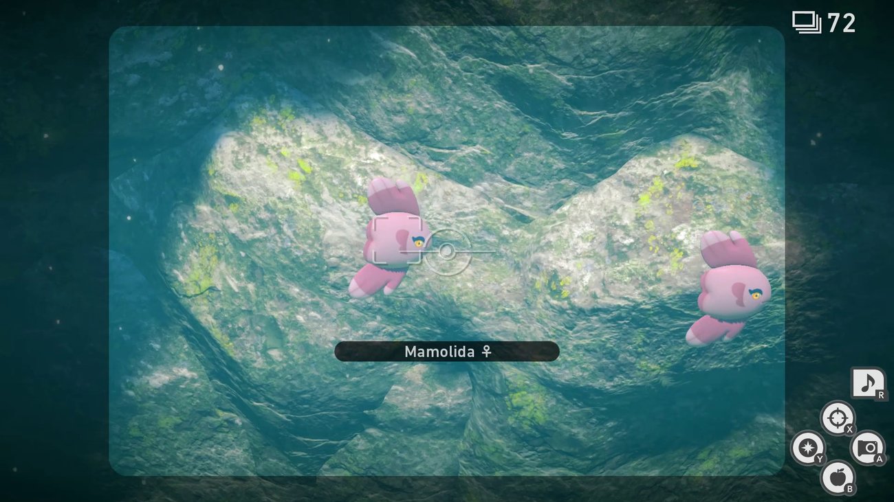 New Pokémon Snap | Auftrag: In die Tiefen des Meeres