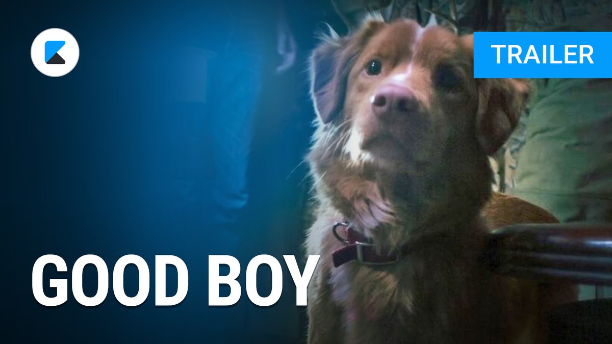 "Good Boy" Trailer "Good Boy" Trailer