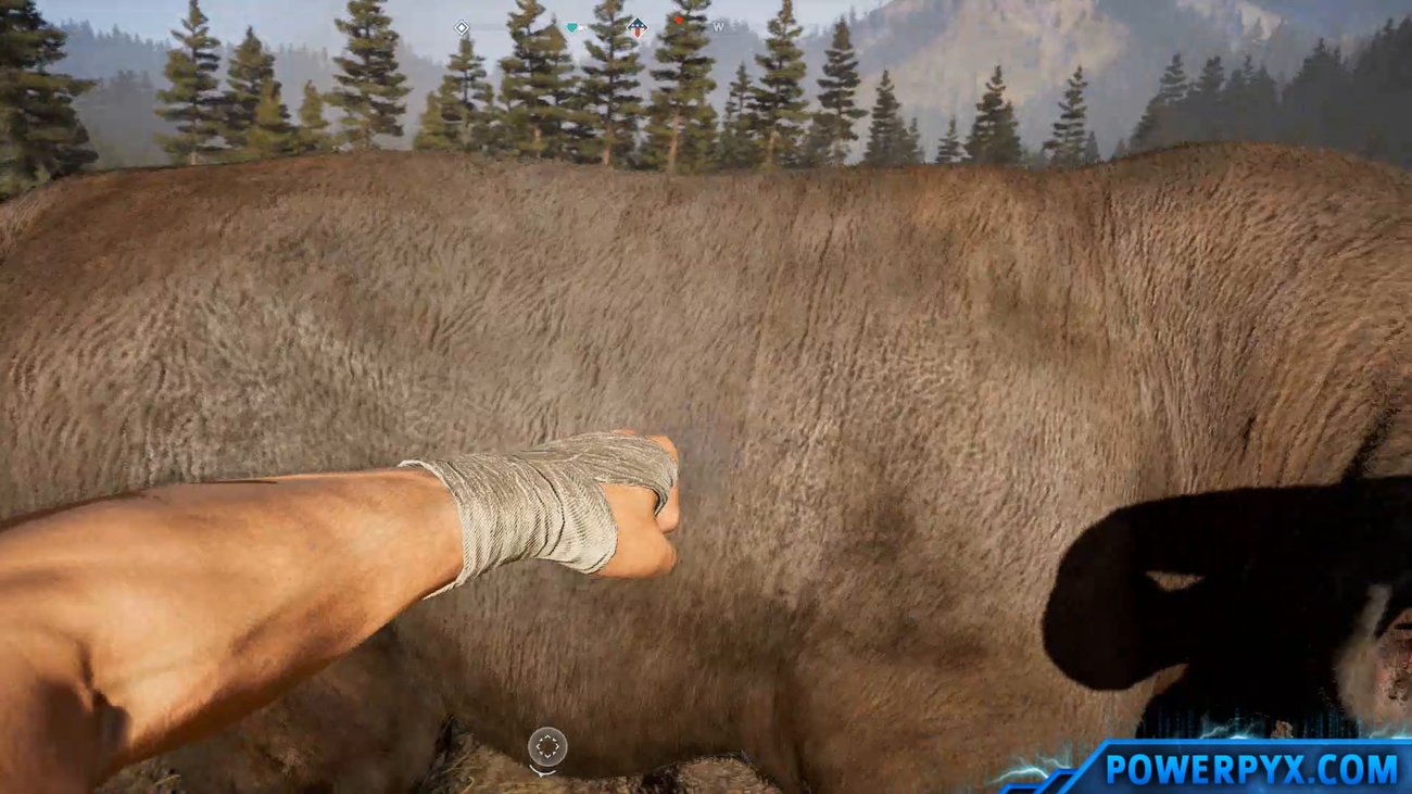 Far Cry 5: Achievement-Guide - Zartgeklopft