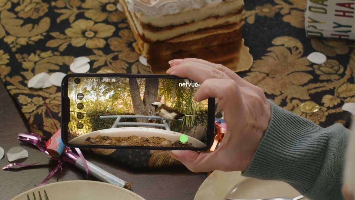 Birdfy: Überwachungskamera mit Vogel-KI Birdfy: Überwachungskamera mit Vogel-KI