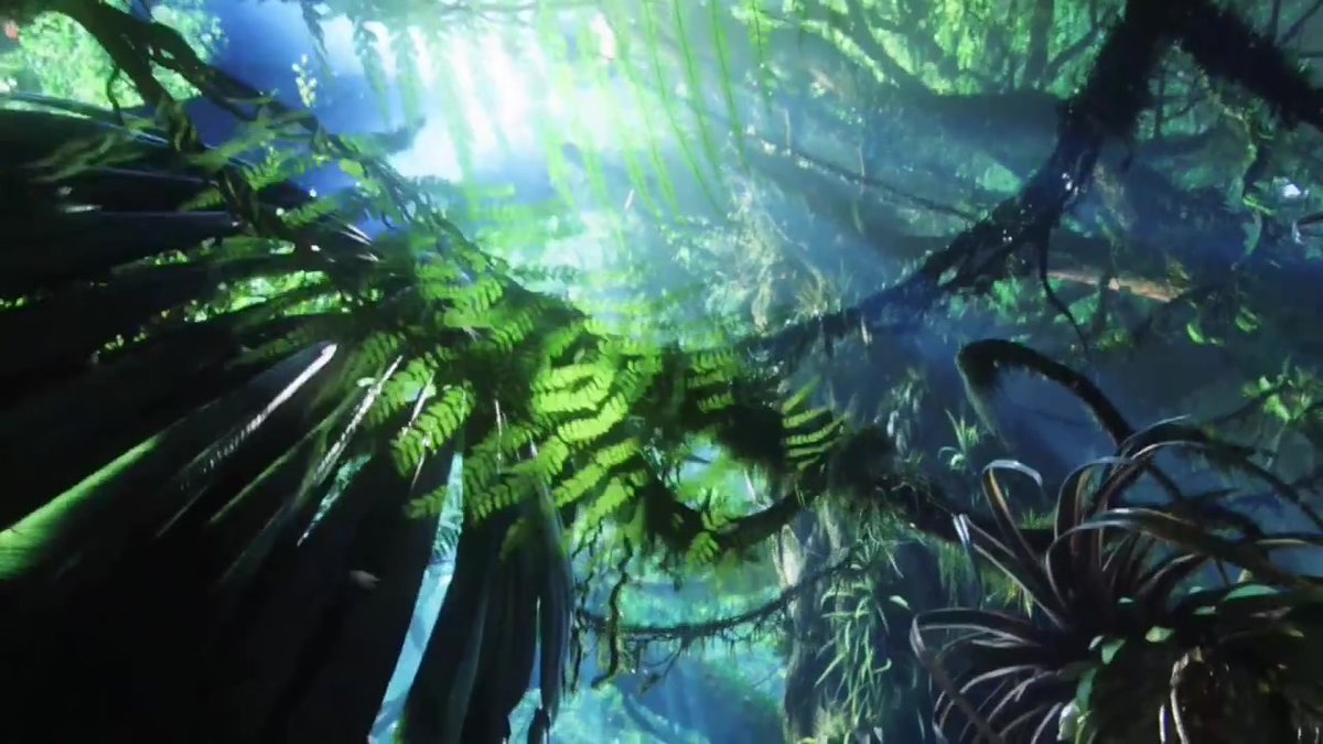 pandora-discovered-32291.mp4