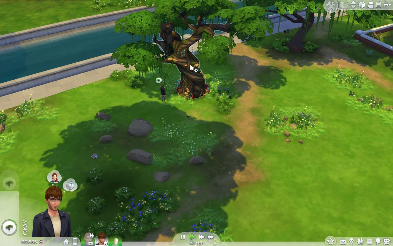 Sims 4 - Waldlichtung