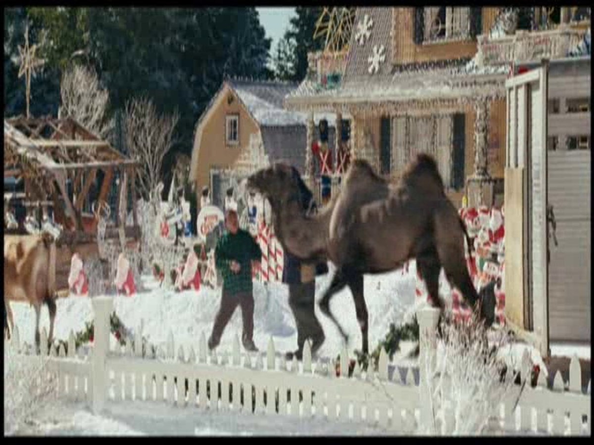 000101740.flv 000101740.flv