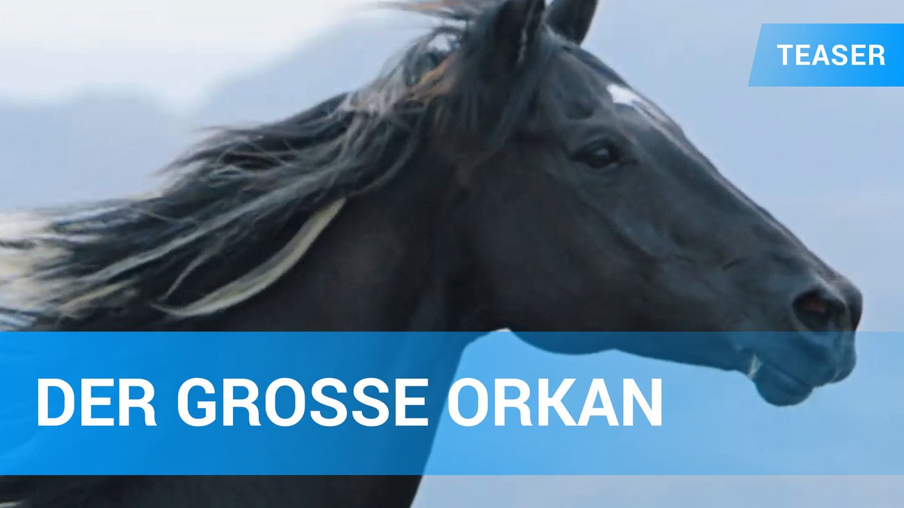 OSTWIND – DER GROSSE ORKAN - offizieller Teaser