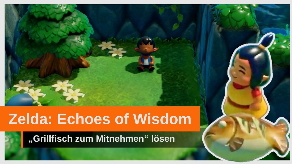 The Legend of Zelda: Echoes of Wisdom – „Grillfisch zum Mitnehmen“ gelöst