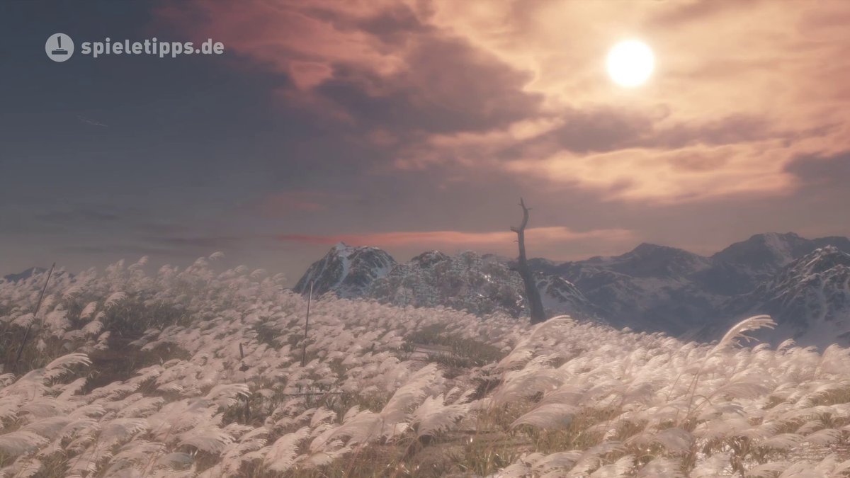 Sekiro: Gutes Ende "Reinigung"