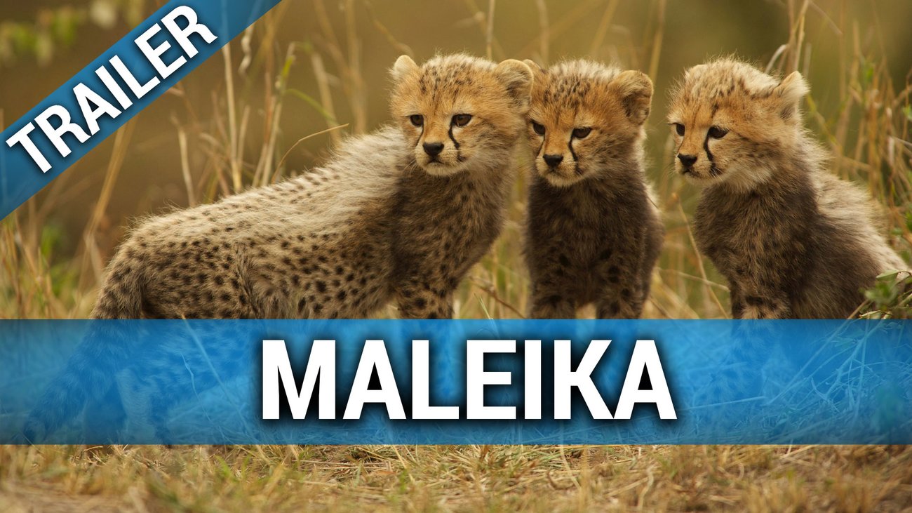 Maleika - Trailer