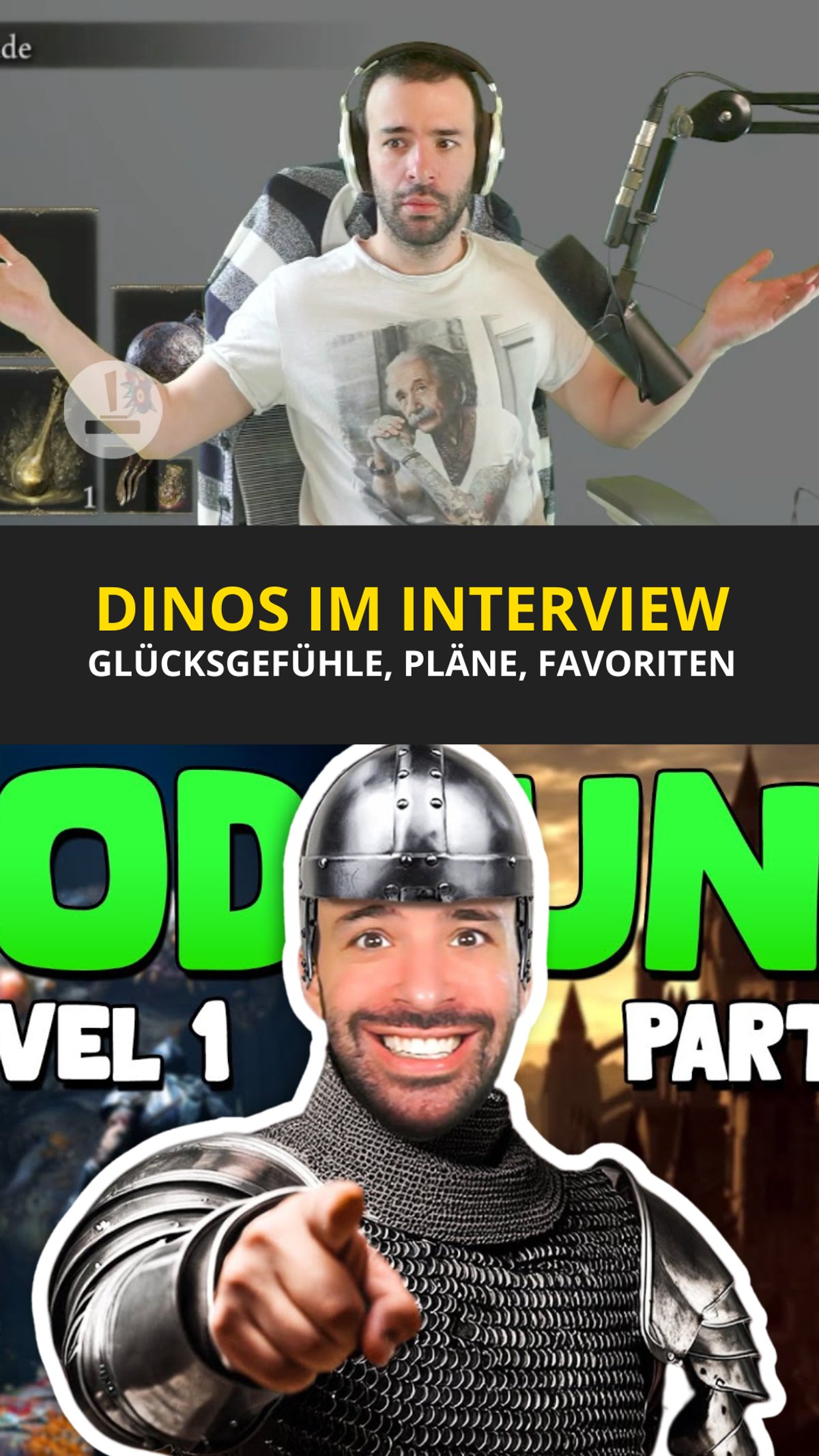 Dinossindgeil - Komplettes Interview mit dem No-Hit-Runner