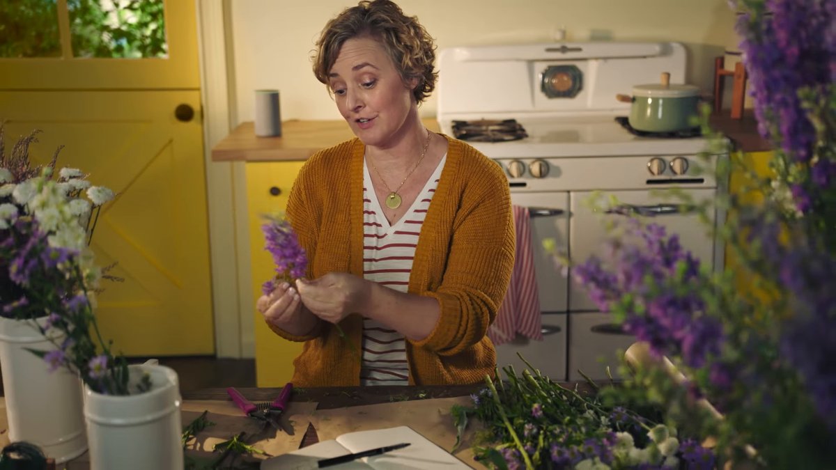 Echo Connect vorgestellt Echo Connect vorgestellt