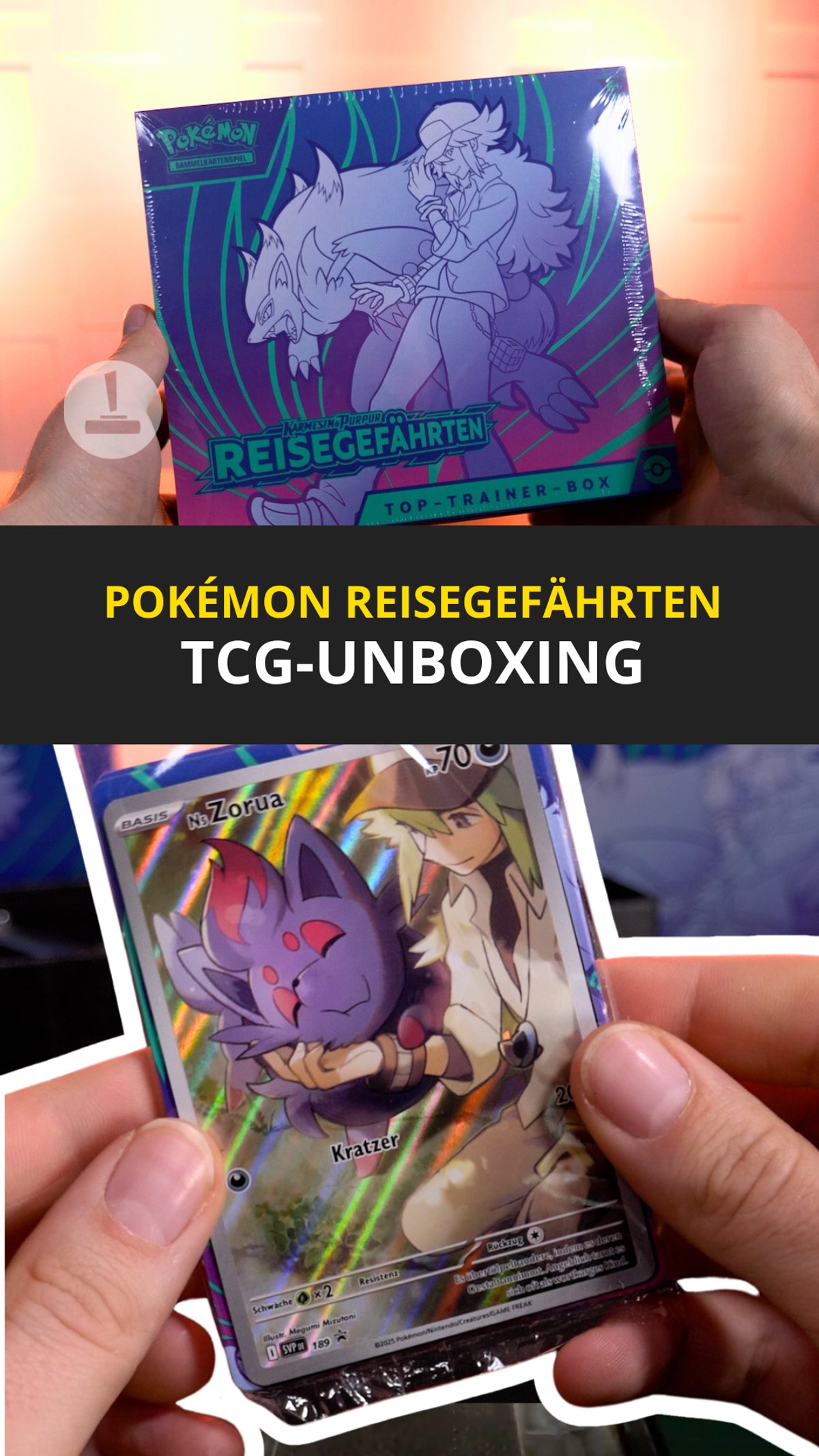 Pokémon Sammelkartenspiel: Unboxing von der Reisegefährten Top Trainer Box 