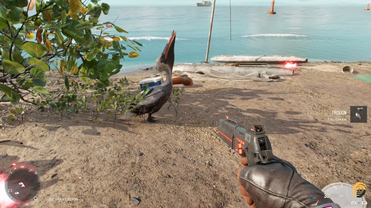 Far Cry 6: Schatzsuche "Hat mir ein Vögelchen gezwitschert" - Startpunkt und Lösung
