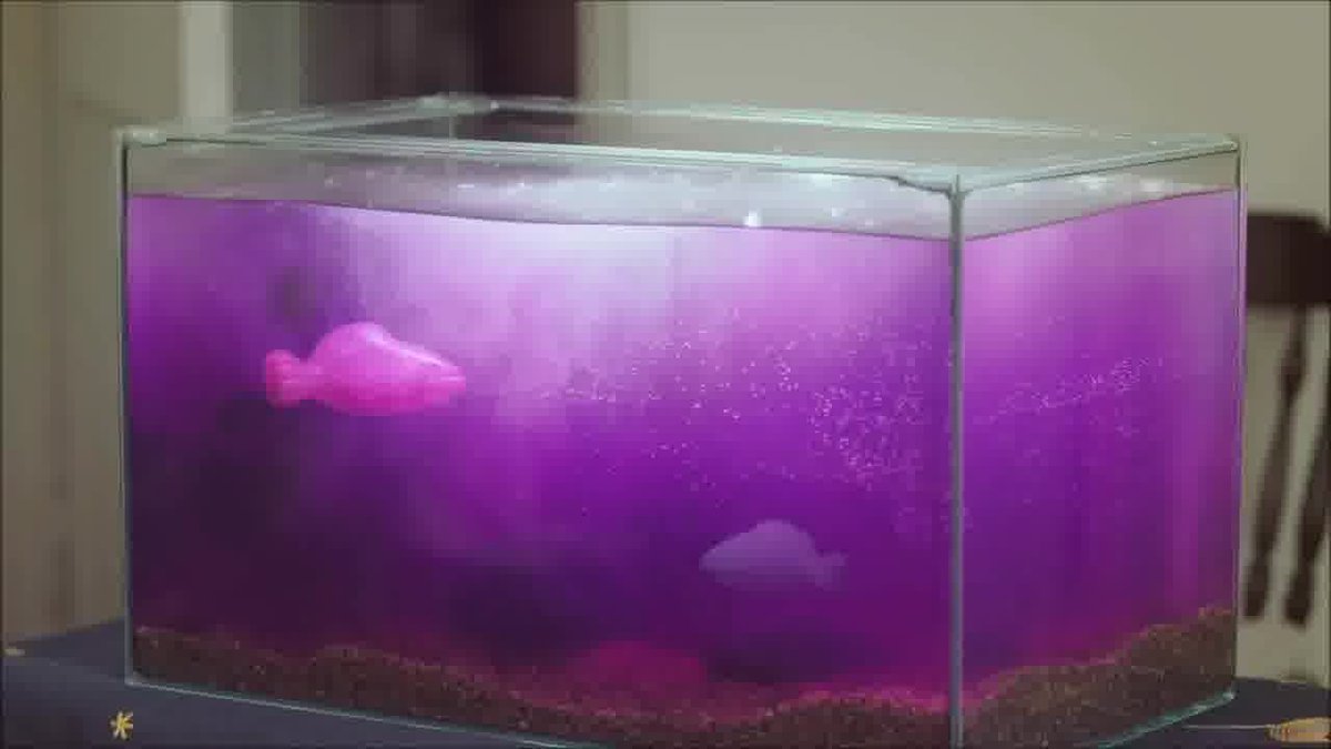 official-candy-crush-soda-saga-by-king-com-limited-announcement-trailer-ios-android-39480.mp4