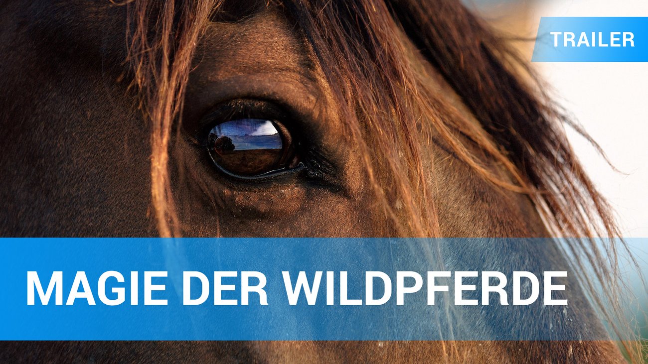 Magie der Wildpferde - Trailer Deutsch