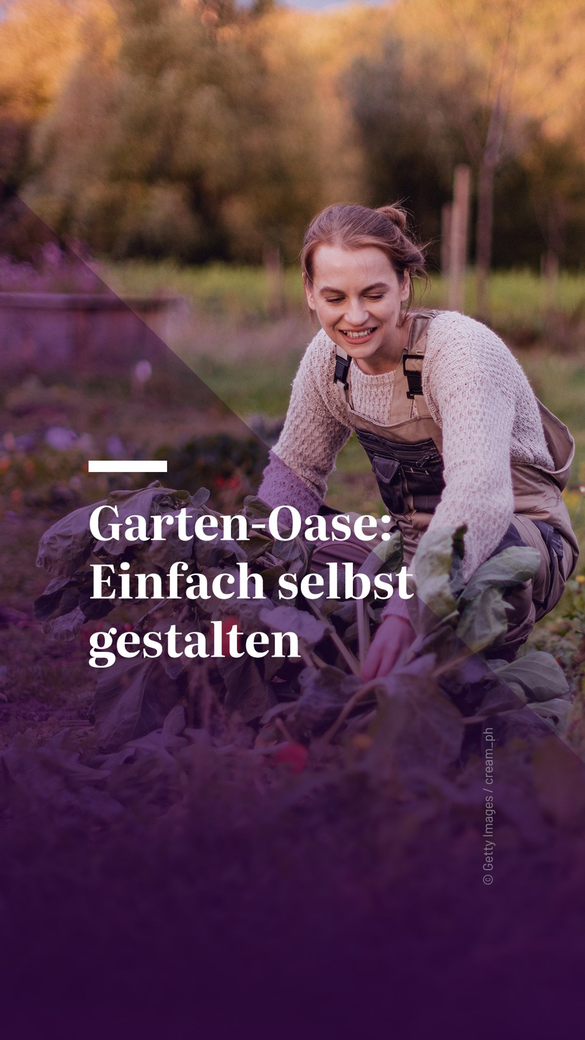 Garten-Oase: Einfach selbst gestalten Garten-Oase: Einfach selbst gestalten