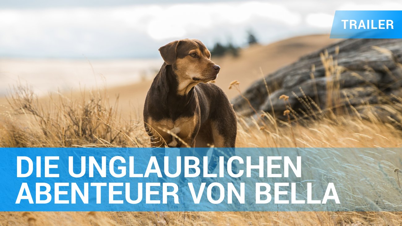 Die unglaublichen Abenteuer von Bella - Trailer Deutsch