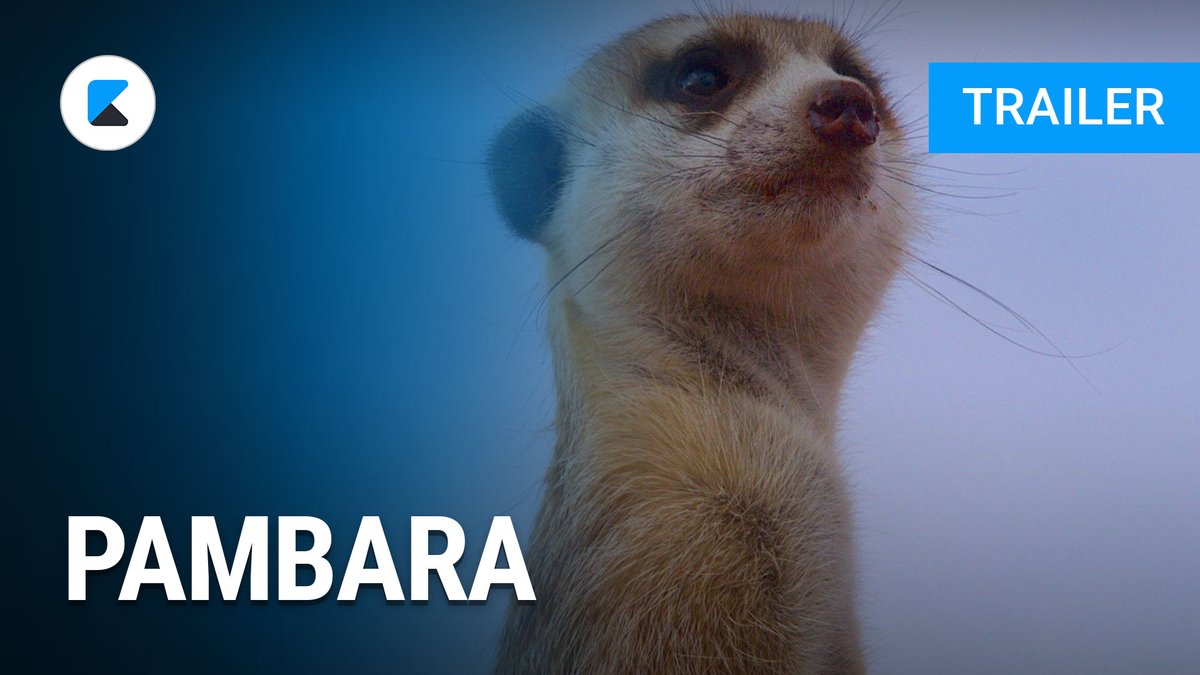 Pambara - Trailer Deutsch