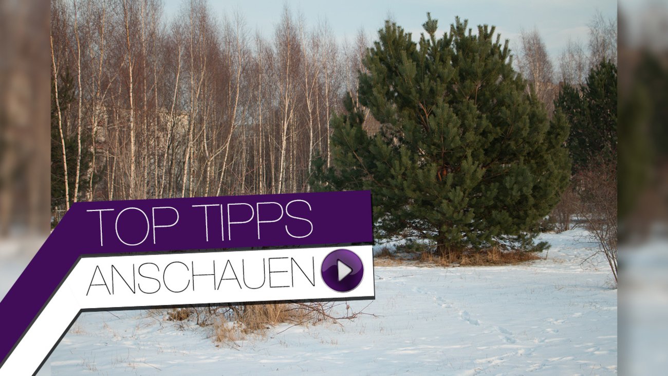 2014-01-31-fr-top-tipps-im-schnee-fotografieren-hd.mp4