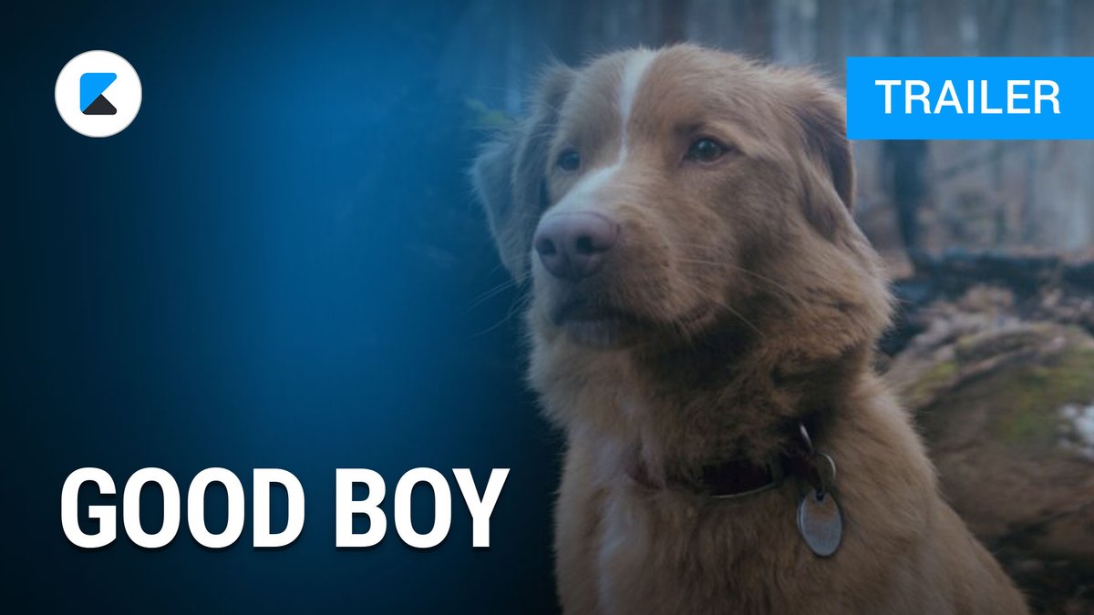 Good Boy - Trust his Instincts - Trailer Omu