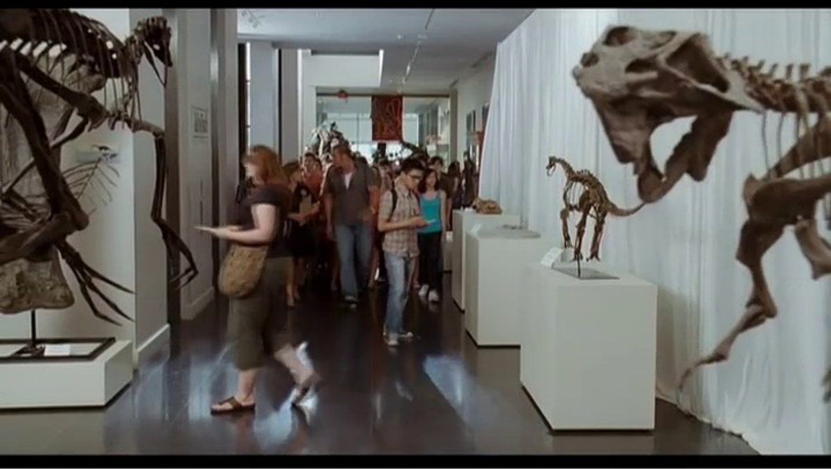 000396565.mp4 000396565.mp4