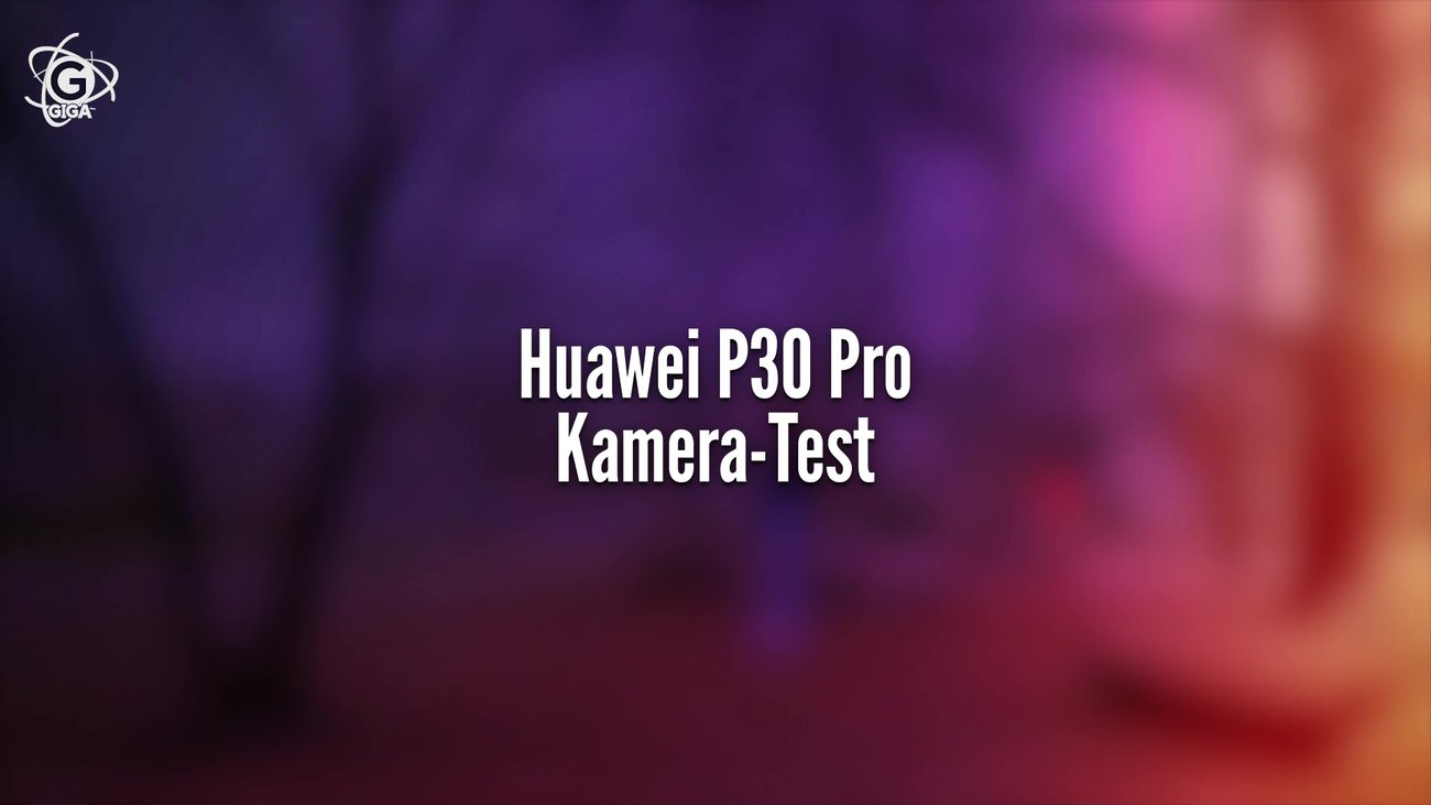Huawei P30 Pro im Kameratest