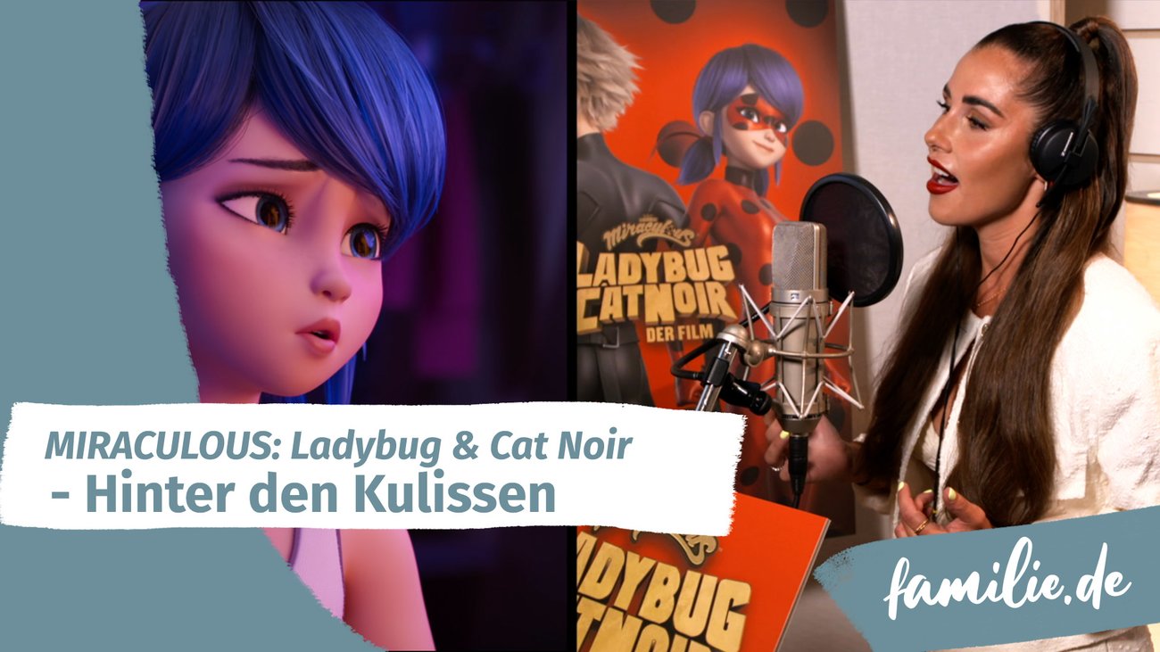 Miraculous: Ladybug & Cat Noir - Hinter den Kulissen