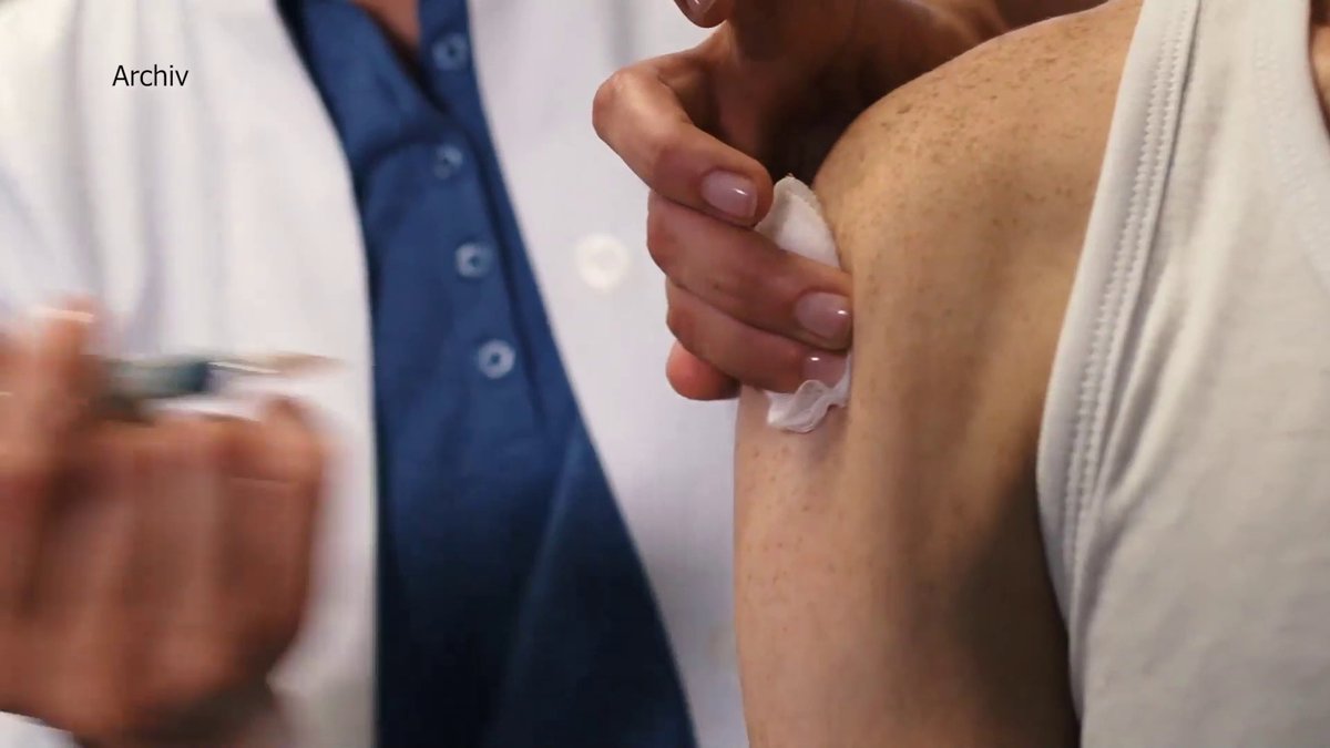 Zecken2021.mp4 Zecken2021.mp4