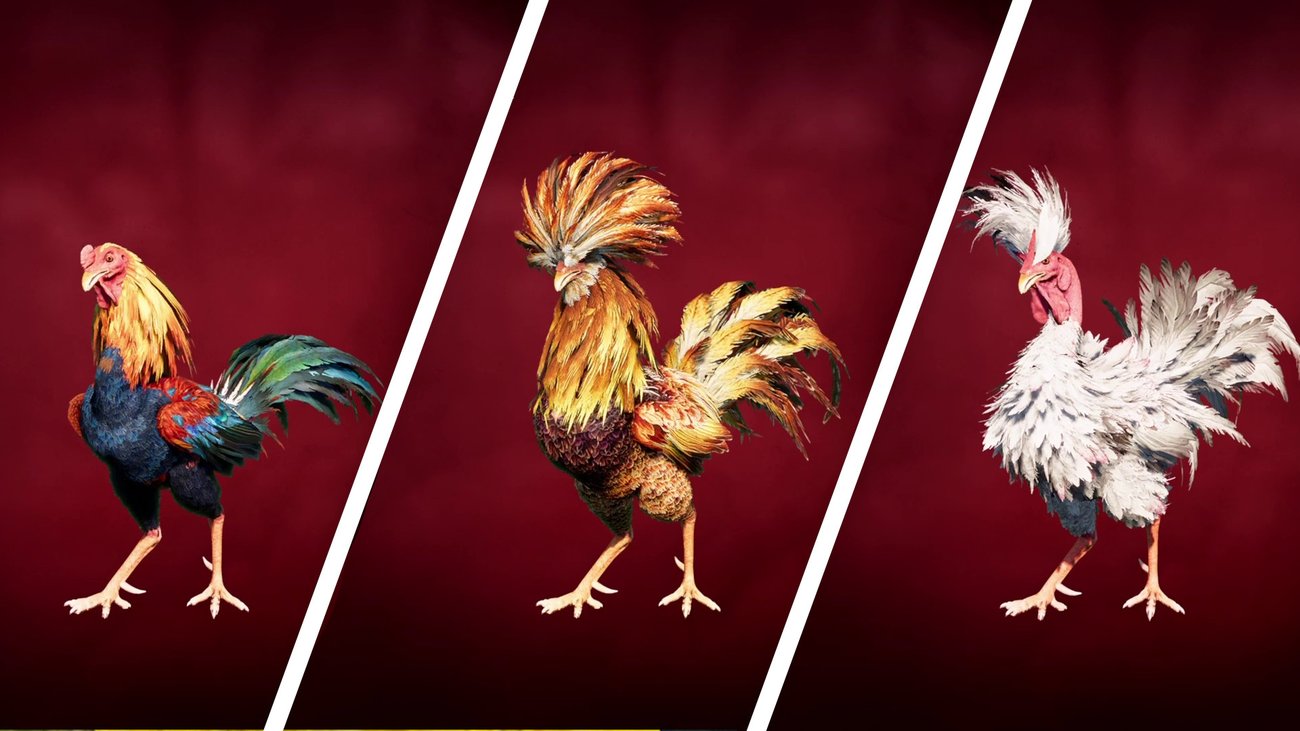 Far Cry 6: Fundorte aller Hähne für den Hahnenkampf (Rekru-Tiere)