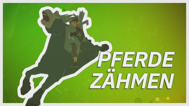 Zelda Breath Of The Wild Pferde Fangen Epona Finden Und Zuneigung Erhohen