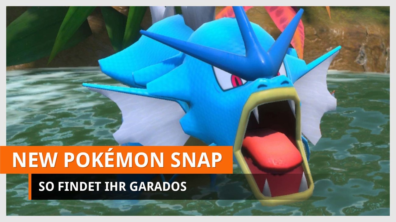 New Pokémon Snap | Garados finden