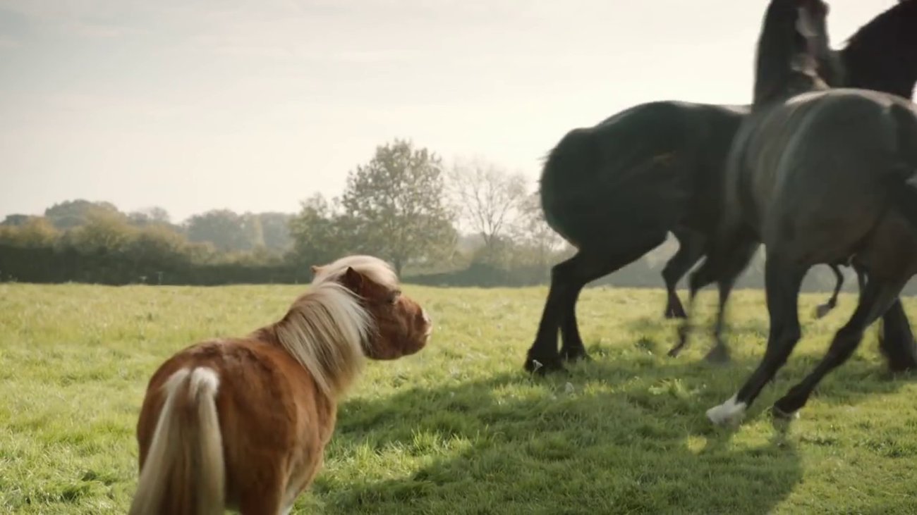 new-amazon-prime-tv-advert-featuring-a-lonely-little-horse-90207.mp4
