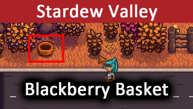 Stardew Valley Blackberry Basket So Findet Ihr Linus Brombeeren Korb Fundort