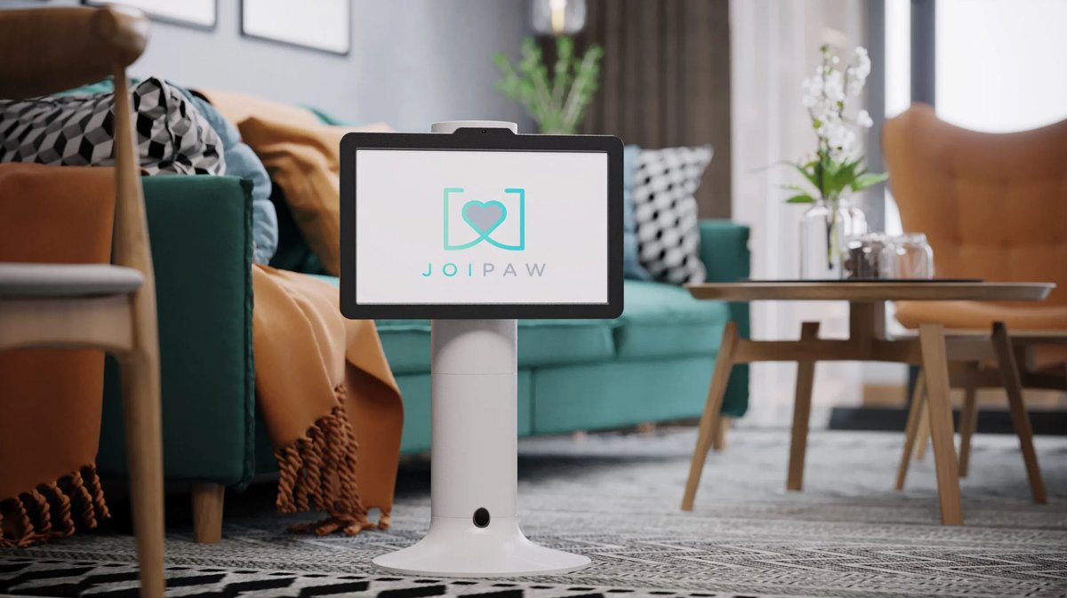 Hunde spielen Videospiele mit Joipaw