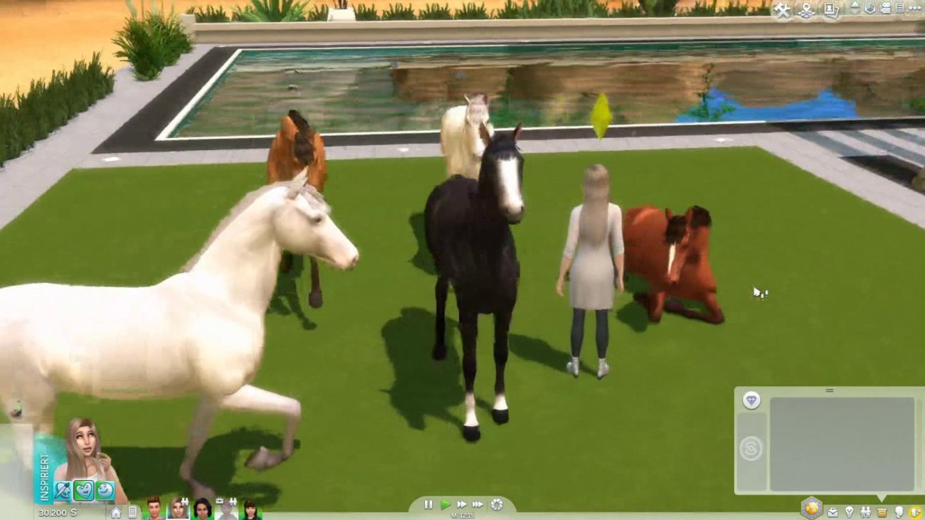 Die Sims 4 Pferde mit Hilfe von Custom Content/Mod einfügen