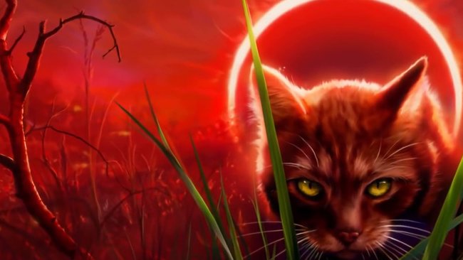 Warrior Cats Film Schleicht Sich Ins Kino