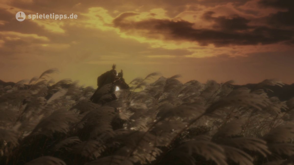 Sekiro: Normales Ende "Aufhebung der Unsterblichkeit"