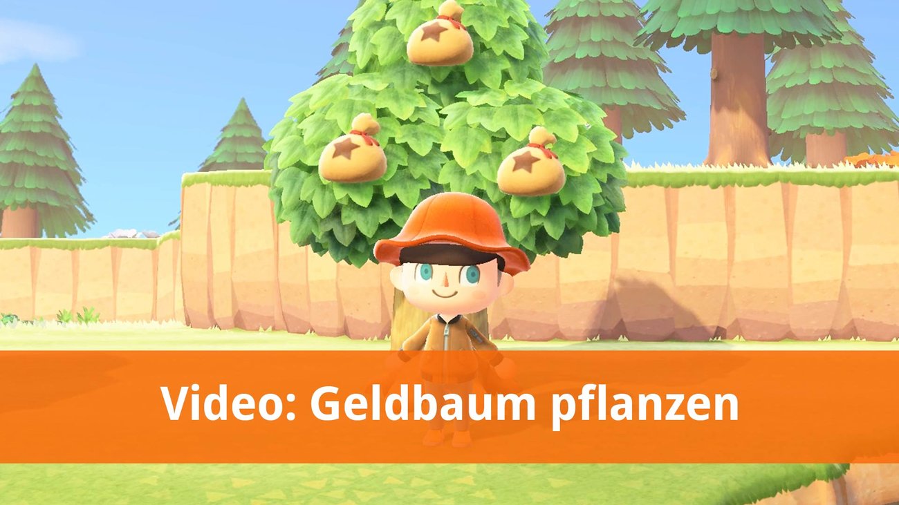 Animal Crossing: New Horizons | Geldbaum pflanzen